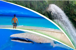 ジンベイザメ＋キャニオニングツアー