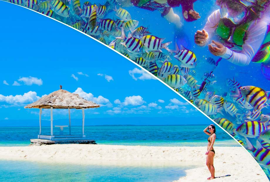 アイランドホッピング(離島めぐり)ツアー