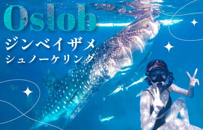 タナセブ用ジンベイザメ記事のアイキャッチ