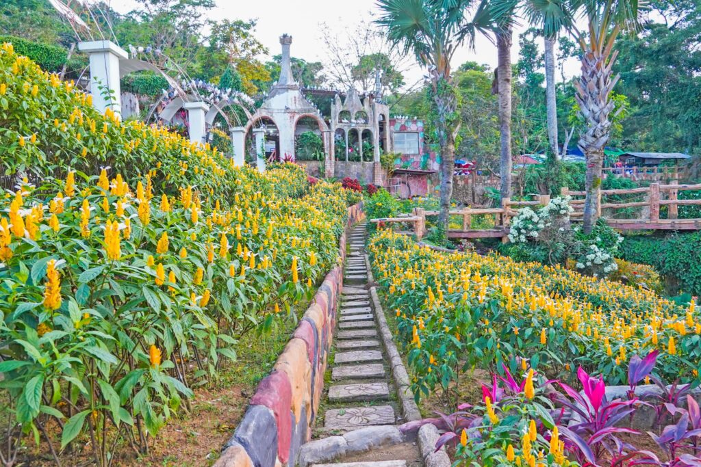 シラオガーデンの花畑
