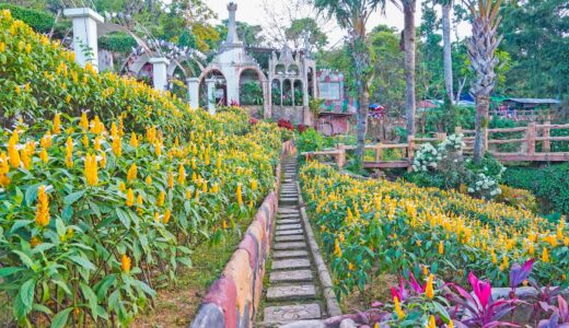 シラオフラワーガーデンの花畑