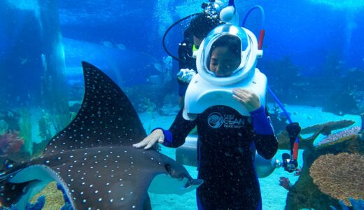 シーウォーカー体験