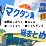 マクタン島総まとめ記事のアイキャッチ