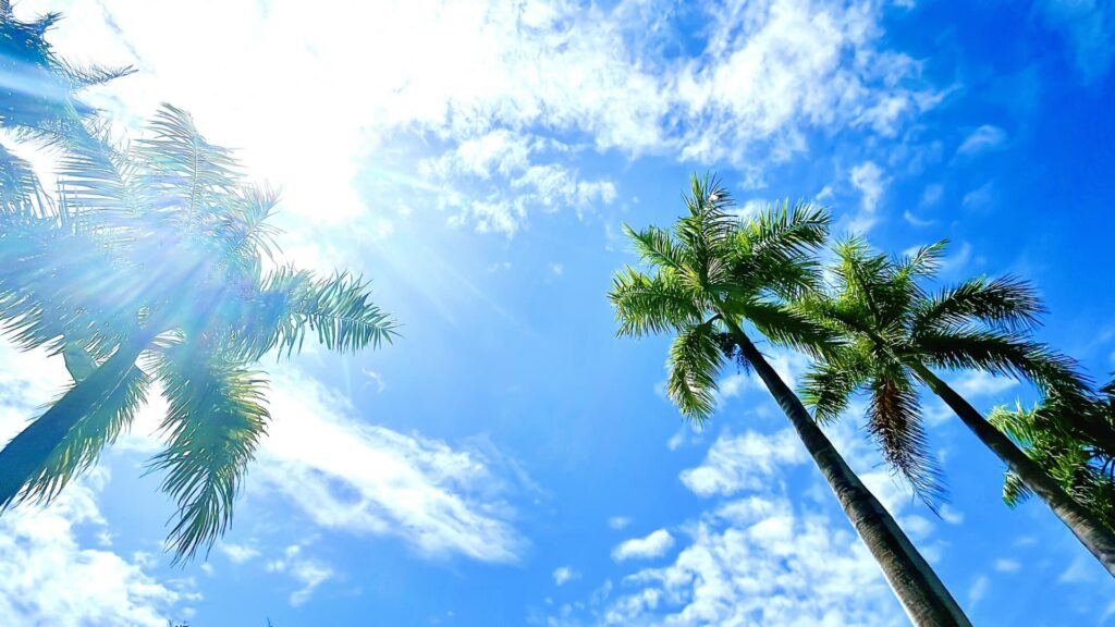 紫外線イメージ