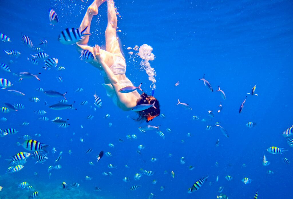 シュノーケリング